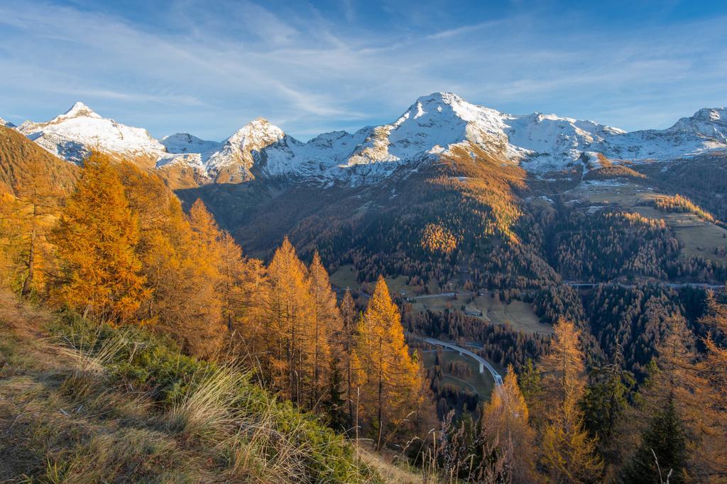 RosswaldChalet Gerberaアパートメント エクステリア 写真